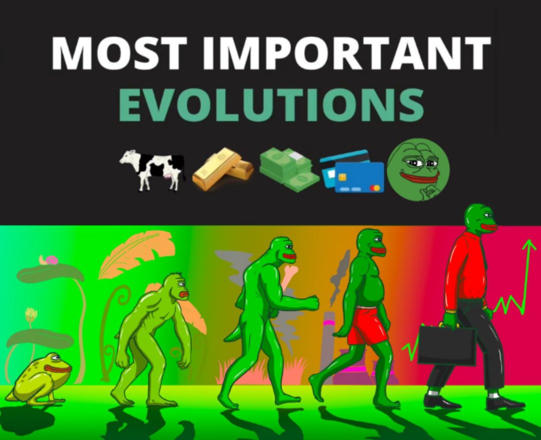 NF3 STIR-FRY tweet media