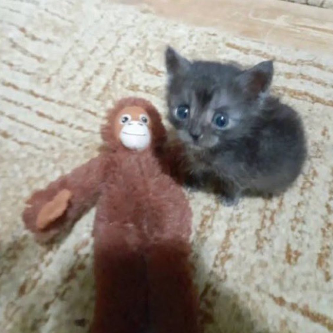 How beautiful to have a little friend