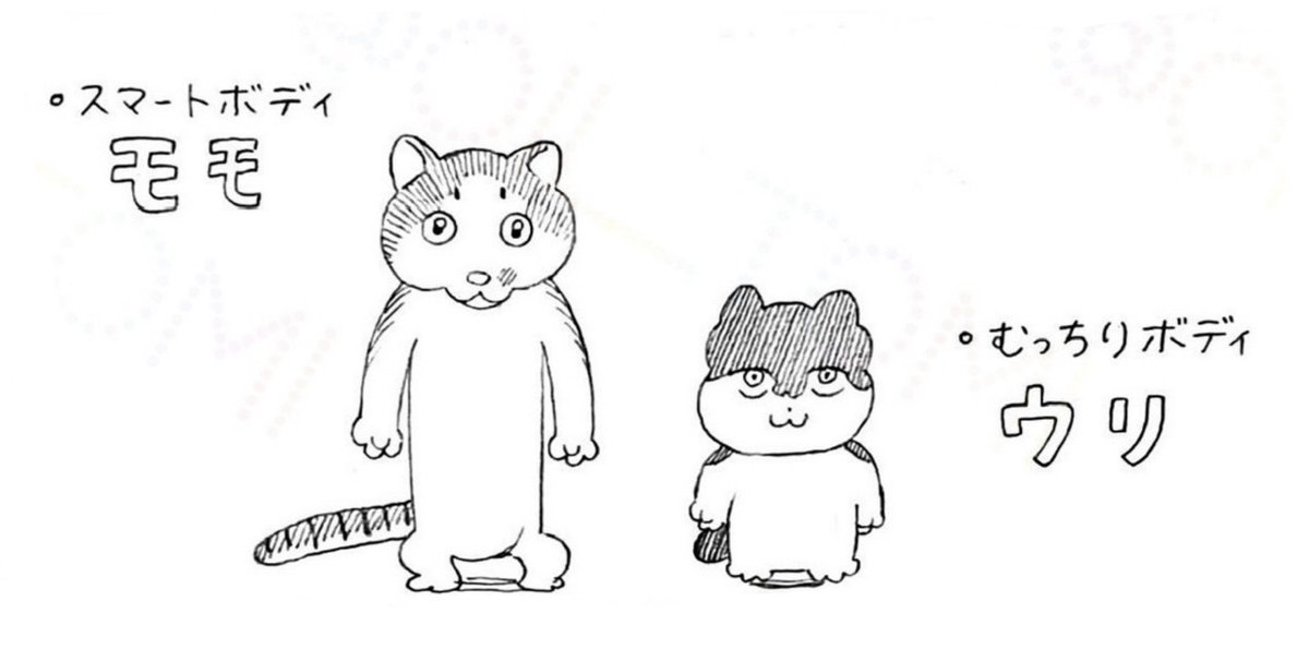 先住猫この顔で描いてたけど兄弟に全然似てないと言われて修正した