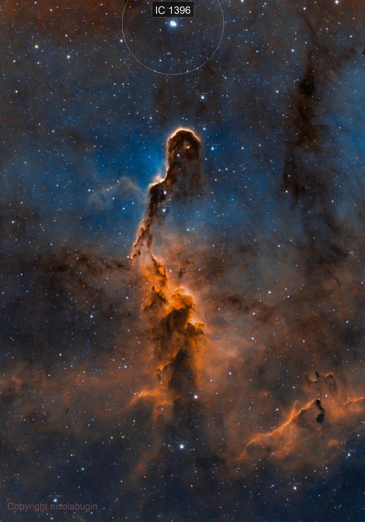 IC1396 Elephant trunk nebula in Cepheus constellation by Nicola Bugin.