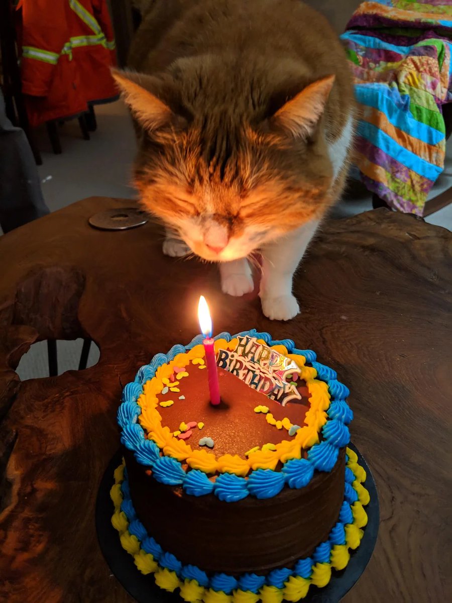 It's My Birthday 🥳🥳🥳