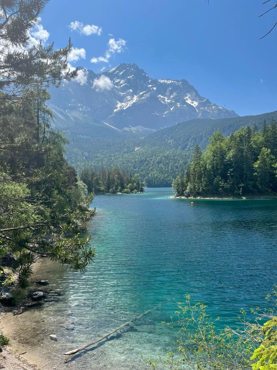 Good morning! ☀️