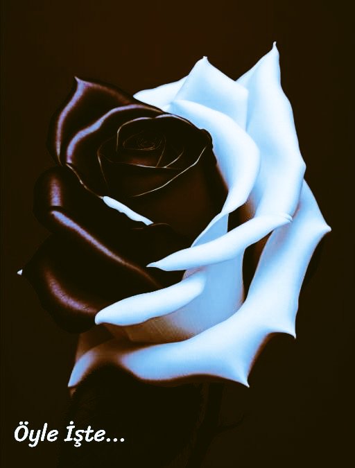 ***
Kiymetinizi bilmeyenler için kendinizi harab etmeyin...

Her çiçek her bahçede açmaz..!!

#Günaydın ☕☀️🌻
#MutluHaftalar