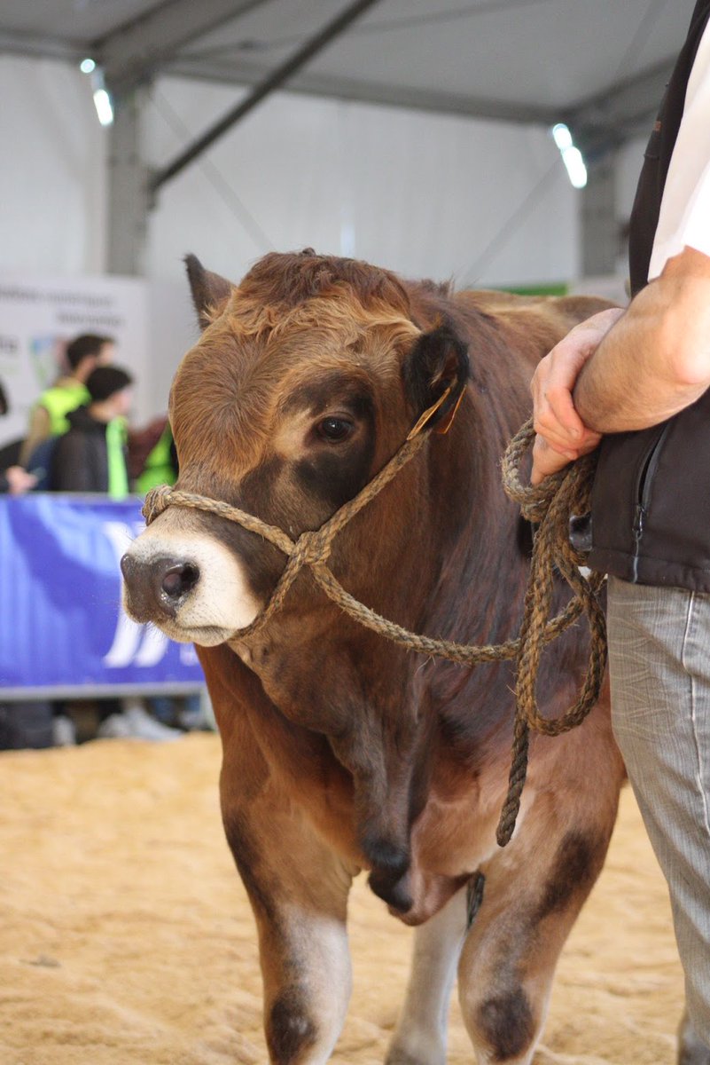 🚜 Tech Élevage 2025 se prépare !
La plaquette exposants est en ligne 📩
Vous êtes une entreprise du secteur agricole ?
📍 Réservez votre stand dès maintenant et rencontrez les pros de l’élevage en novembre 👇
techelevage.fr/wp-content/upl…
#TechElevage #SalonPro #InnovationAgri