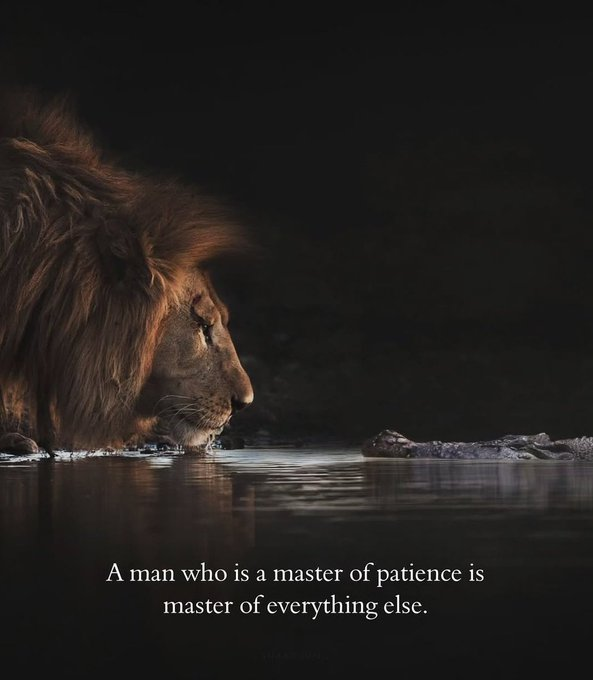 mindfulmaven_'s tweet photo. https://t.co/1HpQTxJ38m