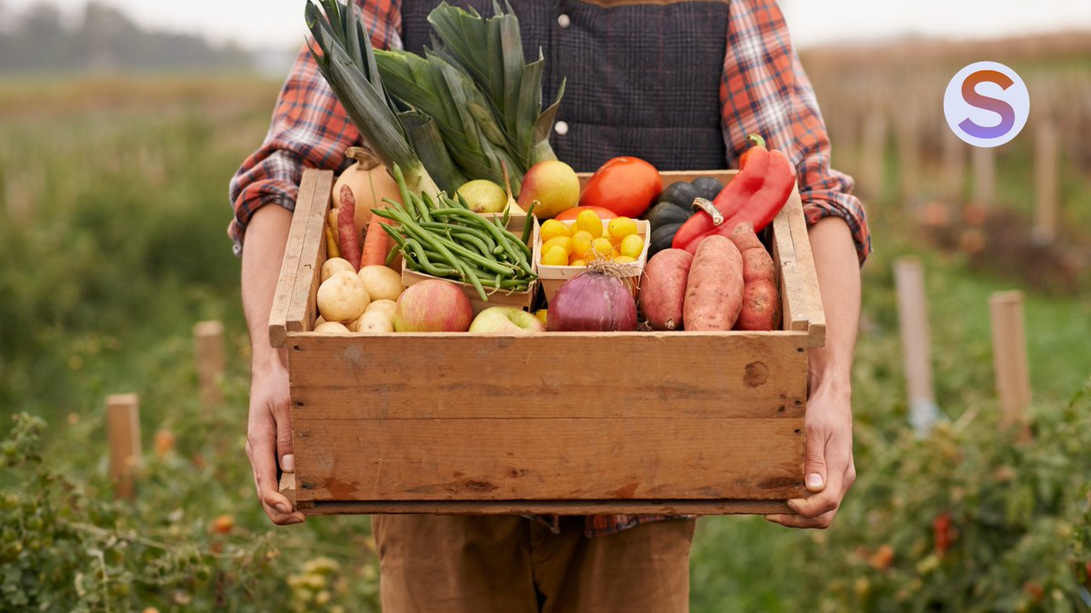 🥕 Happy #FreshVeggiesDay!

At #SISTERS, we’re working for a food system where veggies are grown, packed &amp; transported sustainably. Reducing waste, boosting nutrition — from farm to fork!

💡 Pro tip: Store them right to keep them fresh longer.

👉 sistersproject.eu