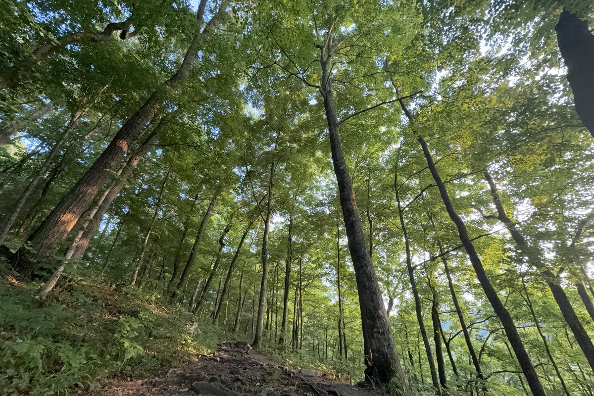 Sam Oldenburg tweet media