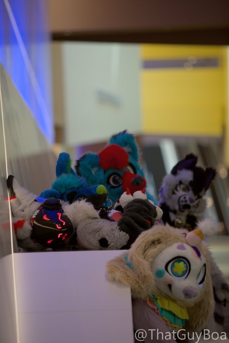 boa (@thatguyboa) on Twitter photo Uploaded Anthrohio pics to furtrack. Here's some of my favorites, including: <a href="/lilacpurpkitty/">Lilac</a>, <a href="/BanditWusky/">Bandit Wusky</a>, <a href="/AceCrestfield/">Ace Crestfield</a> and <a href="/HyenaSniff/">Cody ๐ AC, Noctfurnal, IFC</a> Uploaded Anthrohio pics to furtrack. Here's some of my favorites, including: <a href="/lilacpurpkitty/">Lilac</a>, <a href="/BanditWusky/">Bandit Wusky</a>, <a href="/AceCrestfield/">Ace Crestfield</a> and <a href="/HyenaSniff/">Cody ๐ AC, Noctfurnal, IFC</a>