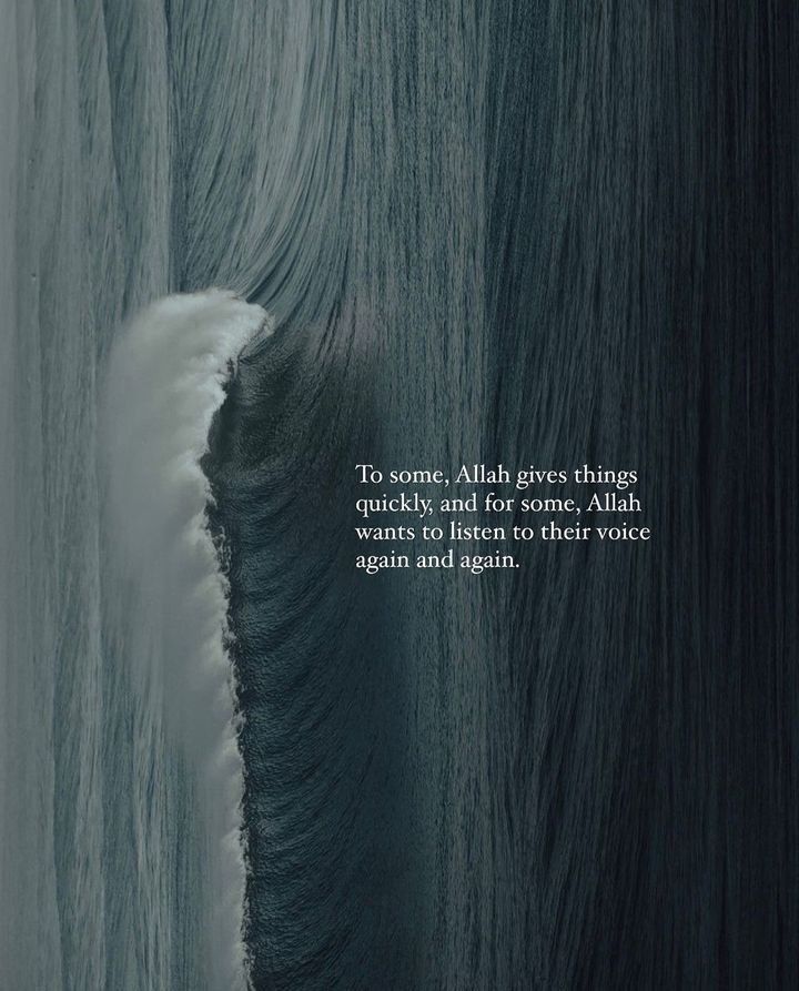 iUmmer_21's tweet photo. Allah gives things quickly https://t.co/ozixex6k0B