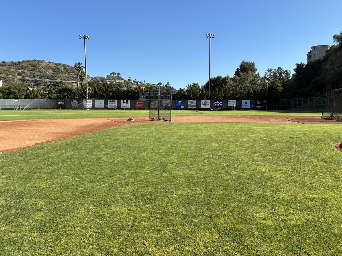 CV baseball tweet media