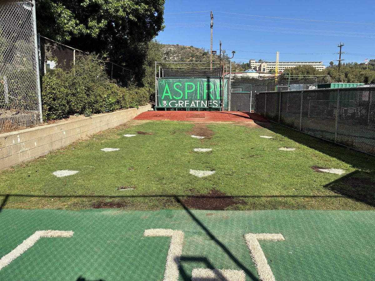 CV baseball tweet media