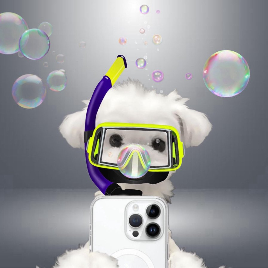 TOFFEESOL's tweet photo. Diving deep into the memecoin market… bubbles guaranteed 💦📱🐶 #ToffeeCoin #BubbleSeason #SolanaSwim #NEWLAUNCH https://t.co/S44OXehIDn