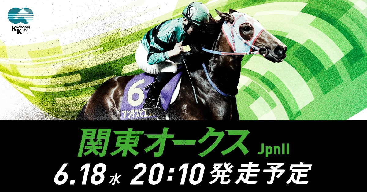 【再値下げ】S.Lassus競馬の絵 211/300 川崎競馬 on X: 