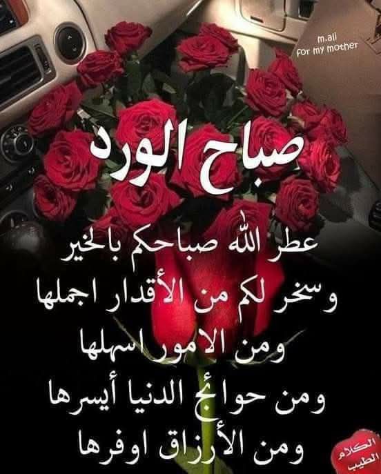 اسعد الله صباحكم بكل خير جميعاً متابعيني #