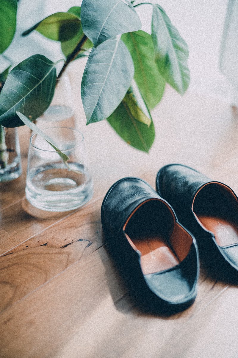 水耕栽培してた植物が一か月経過したぐらいでしっかりと根を出してきた。来週末辺りに土へ植えて、また新しい水耕栽培を始める。とても大切なことをしてる気がする。