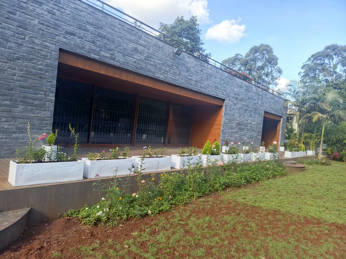 tylerrwayne's tweet photo. Plants and landscaping services with Green spaces nyumbani. Reach out 0748 341879

#ShapeYourSpace https://t.co/BQD5bPGPXB