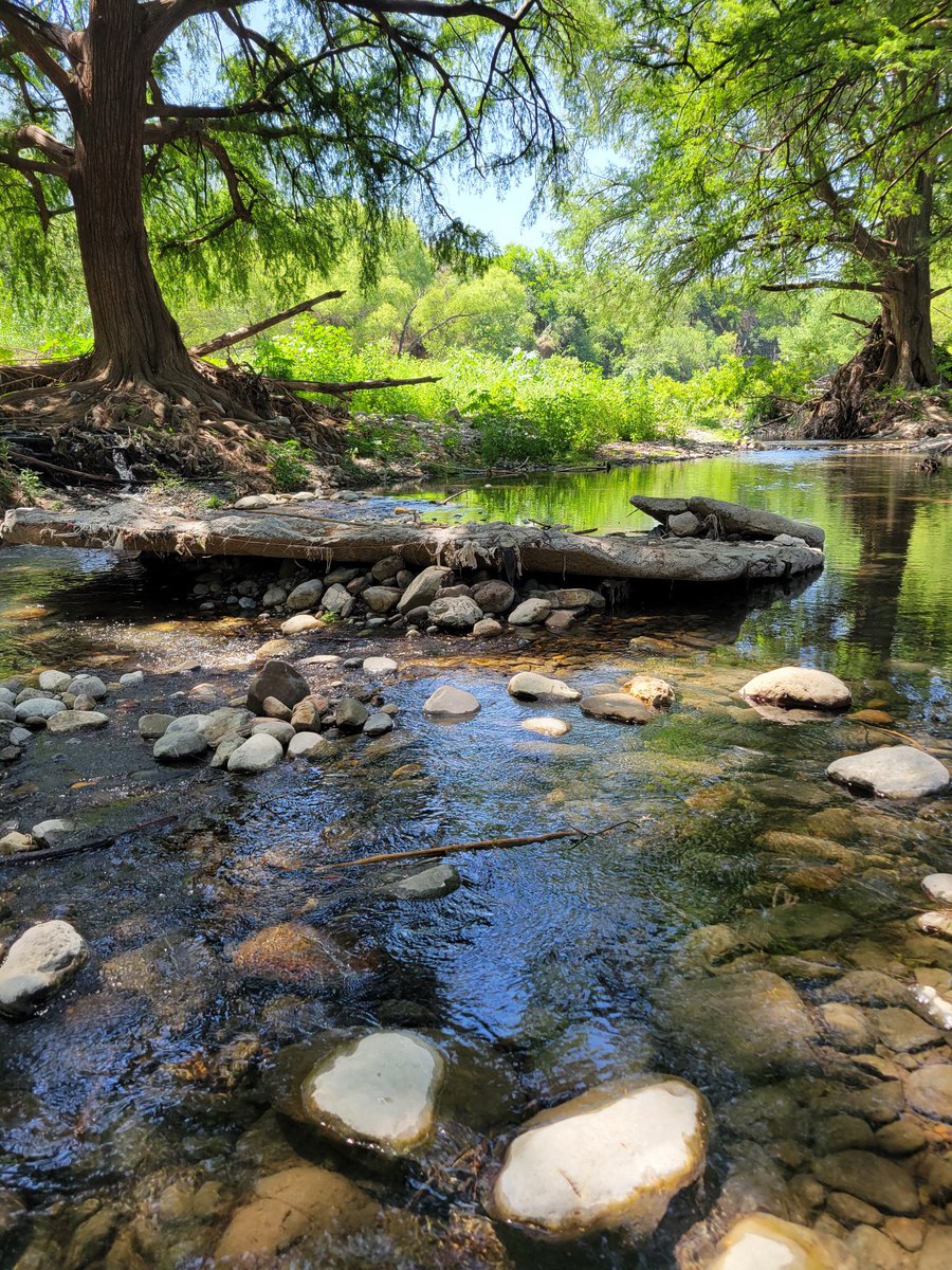 lozanohector's tweet image. #AmorYPaz
El tiempo no se detiene…
Las #prioridades guían, los #procesos forman
Hay tiempo para todo, pero no todo merece tu tiempo…
…enfócate, avanza y disfruta cada paso y agradece
Que cada decisión te acerque a la vida que realmente quieres
#EnLaVidaYEnLaCancha
#AbrazoDeGol