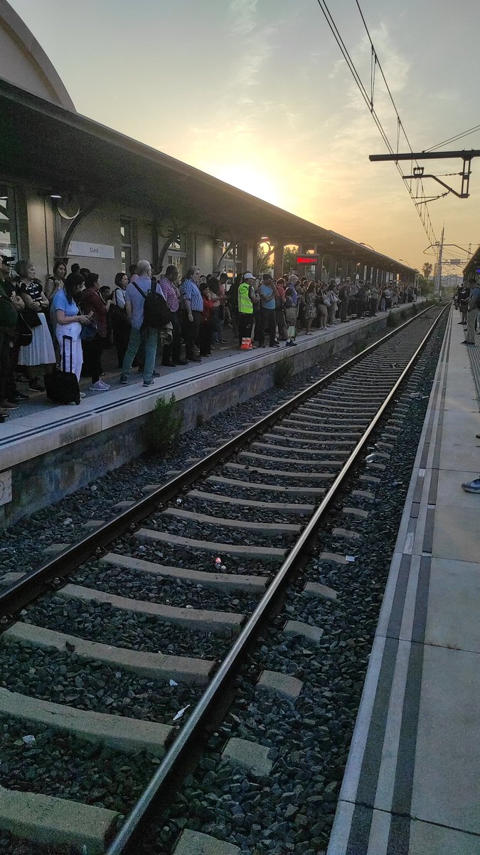 Amalia la del tren (@montero_herre) on Twitter photo El puto i etern caos de <a href="/rodalies/">Rodalies Catalunya</a> de sempre.. A Cunit cap tren en 40 minuts, andanes a petar i afegim incidencia de Cunit a Vilanova .. Que mes <a href="/Renfe/">Renfe</a> ??? QUÈ MÉSSS ?? <a href="/radio4_rne/">radio4_rne</a> <a href="/A3Catalunya/">Antena3Catalunya</a> <a href="/AfectRodalies/">Afectats Rodalies</a> <a href="/PARC_rodalies/">Plataforma d'Afectats per Rodalies de Catalunya</a> <a href="/retardsrodalies/">Retards Rodalies #ElTeuRetardDeCadaDia</a> <a href="/Adif_es/">Adif</a> <a href="/rod2sudcat/">R2 Sud Rodalies</a> <a href="/SilviaPaneque/">Sílvia Paneque</a> El puto i etern caos de <a href="/rodalies/">Rodalies Catalunya</a> de sempre.. A Cunit cap tren en 40 minuts, andanes a petar i afegim incidencia de Cunit a Vilanova .. Que mes <a href="/Renfe/">Renfe</a> ??? QUÈ MÉSSS ?? <a href="/radio4_rne/">radio4_rne</a> <a href="/A3Catalunya/">Antena3Catalunya</a> <a href="/AfectRodalies/">Afectats Rodalies</a> <a href="/PARC_rodalies/">Plataforma d'Afectats per Rodalies de Catalunya</a> <a href="/retardsrodalies/">Retards Rodalies #ElTeuRetardDeCadaDia</a> <a href="/Adif_es/">Adif</a> <a href="/rod2sudcat/">R2 Sud Rodalies</a> <a href="/SilviaPaneque/">Sílvia Paneque</a>