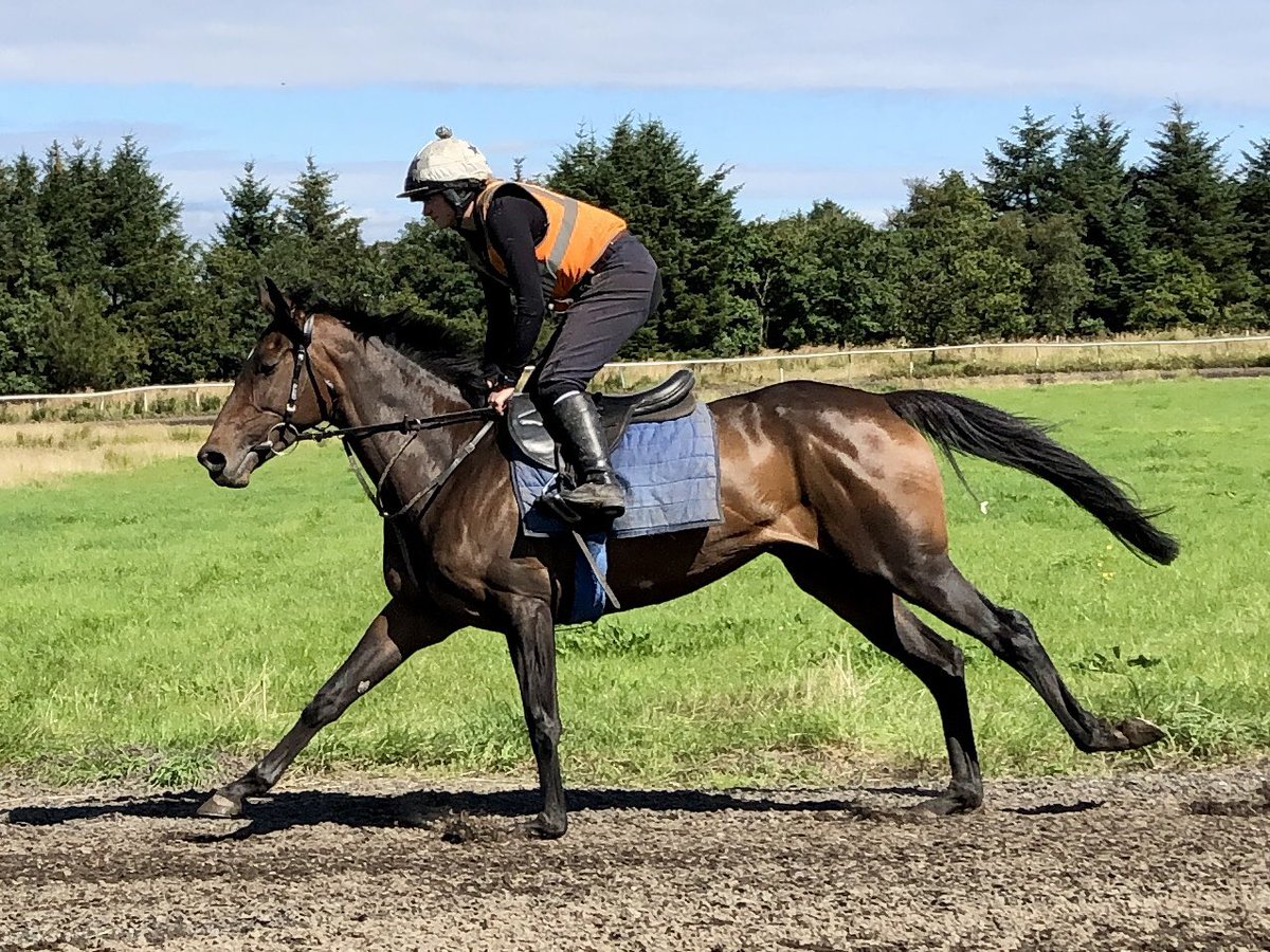 Johnnie Delta Racing (@jdeltaracing) on Twitter photo Aighearโs had a luckless run <a href="/HamiltonParkRC/">Hamilton Park</a> last time, hopefully she gets the rub of the green this afternoon <a href="/CarlisleRaces/">Carlisle Racecourse</a>, <a href="/amie_waugh90/">Amie</a> rides for <a href="/JimGoldieRacing/">Jim Goldie Racing</a>!๐ค ๐ค๐๐ค Aighearโs had a luckless run <a href="/HamiltonParkRC/">Hamilton Park</a> last time, hopefully she gets the rub of the green this afternoon <a href="/CarlisleRaces/">Carlisle Racecourse</a>, <a href="/amie_waugh90/">Amie</a> rides for <a href="/JimGoldieRacing/">Jim Goldie Racing</a>!๐ค ๐ค๐๐ค