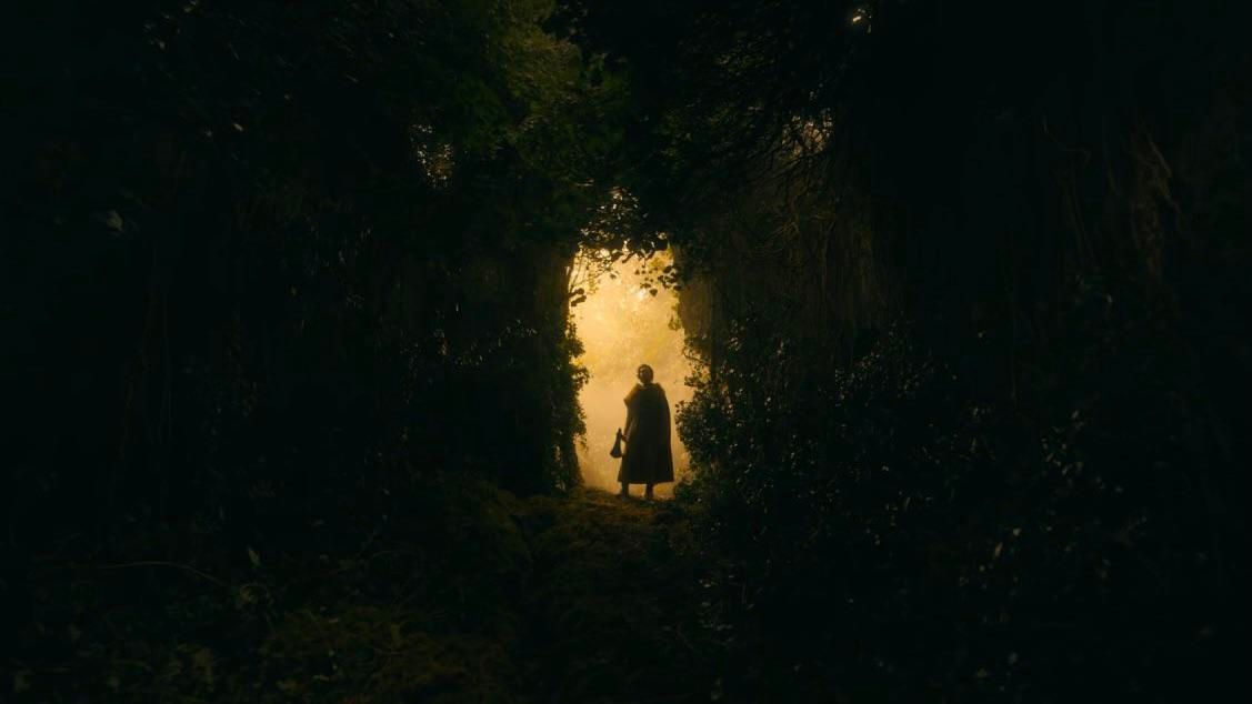 kylethompson32's tweet image. Type of shots that make you love films