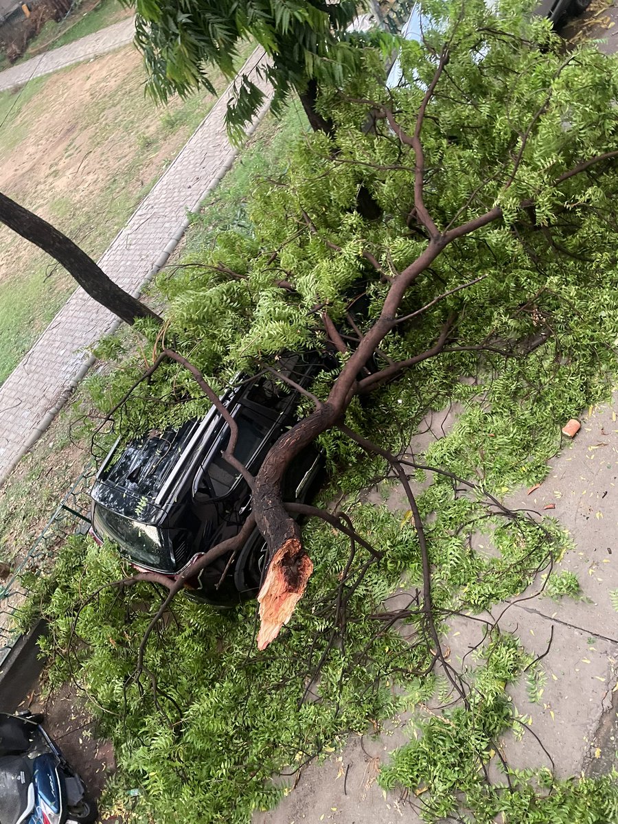 RK PURAM SECTOR 3 में आंधी के बाद ये पेड़ गिर गया दो दिन से ये पेड़ टूट के सड़क पर गिरा है. 100 से ज़्यादा बार फ़ोन करने के बावजूद MCD से मदद नहीं आई. ज़िम्मेदार मेरा काम नहीं बोलकर टालमटोल कर रहे हैं. 

<a href="/DCSOUTHZONE/">Deputy Commissioner,South Zone</a> <a href="/HelplineMcd/">MCD</a> <a href="/MCD_Delhi/">Municipal Corporation of Delhi</a>