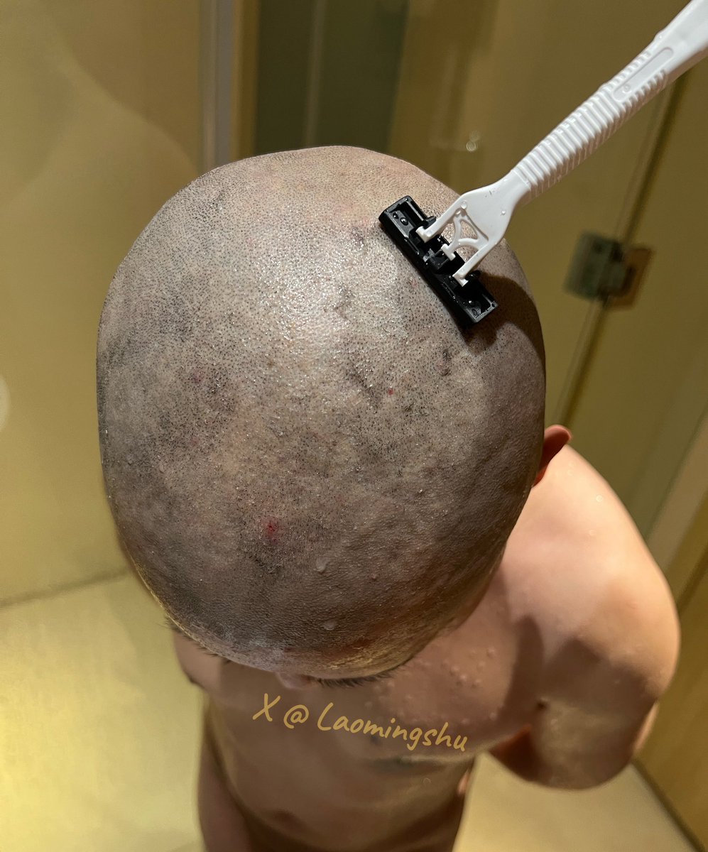 征集一条手艺狗子，跟着主人把其他狗狗都刮光。
或者训练汪汪们自己刮毛。

手艺主人准备封刀，只喜欢摸玩，不想劳动😜😝