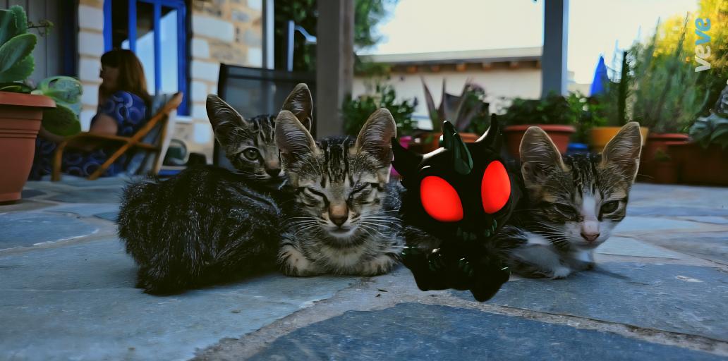 Marconveve's tweet photo. Midnight Chupacabra watches over them💙
Fun with Veve Digital Collectibles @veve_official #digitalcollectibles #cryptkins https://t.co/oX10eIwgxD