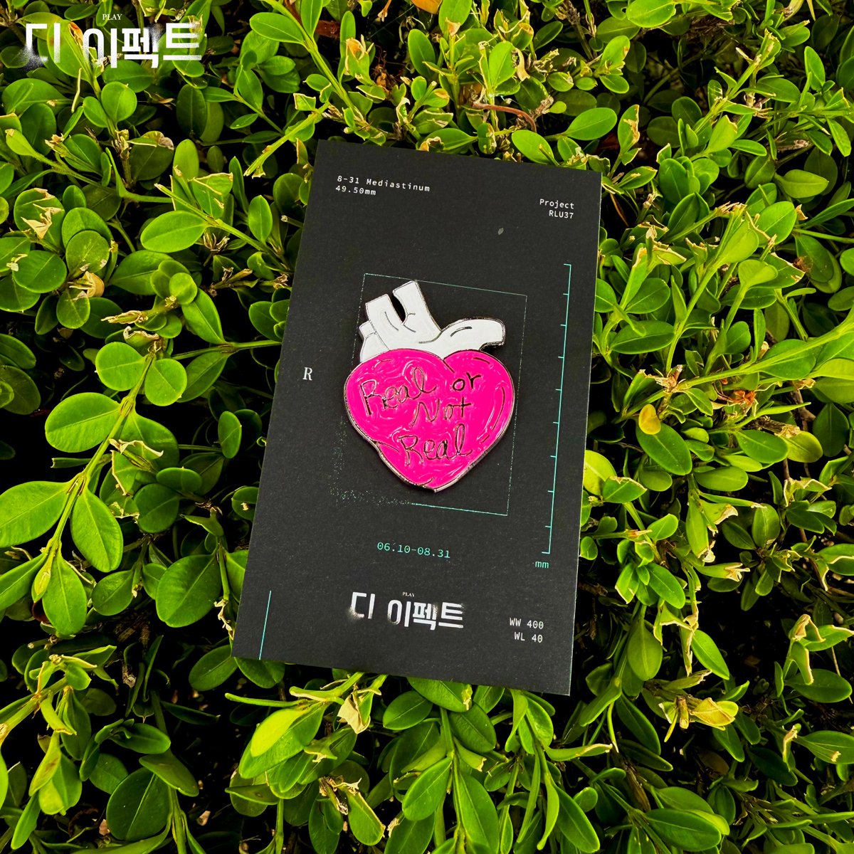 rnbtheatre_kr's tweet photo. [#디이펙트] The Effect👤

MD 안내
#뱃지_3종

📝 #스트루프_뱃지
🩻 #심장_뱃지
🩻 #뇌_뱃지

가격 : 각 10,000원

금일(6/17) 공연부터 MD부스에서 구매 가능합니다.

지금 네 감정을 말해 줘.
#연극 #디이펙트 #The_Effect

2025.06.10 - 08.31
놀 서경스퀘어 스콘 2관(구. 인터파크 서경스퀘어) https://t.co/KDXzzRzd4L