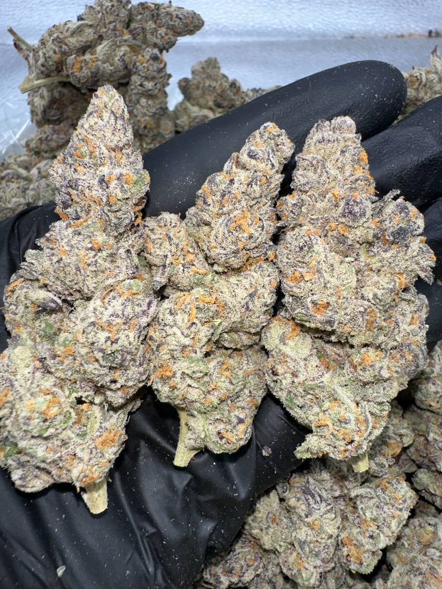 ZOAP 🧼
stonies.shop/?ref=STONERS