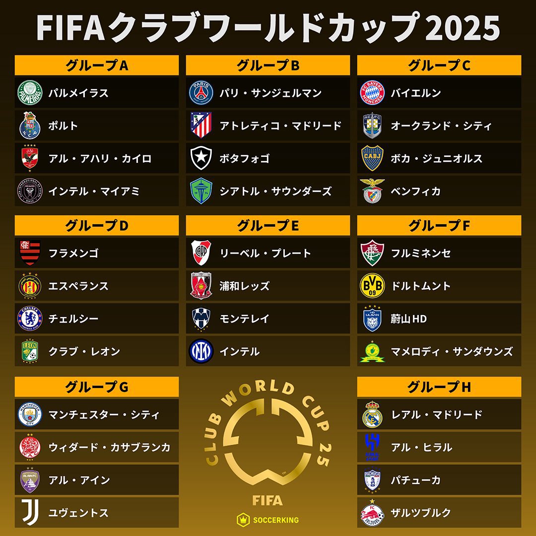 FIFA クラブワールドカップ 2015 日本開催 ピンバッジ