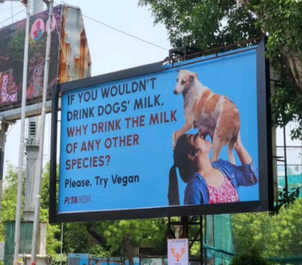 Arup (@arupkumarmaha15) on Twitter photo What is this behaviour <a href="/PetaIndia/">PETA India</a>
Keep your mouth shut.
When Thousand of animals sacrificed during #Eid ,You have not spoken a single word regarding that and now mocking our #Hindu culture.
Is Dogs milk= Cow milk For you?
Shame on you <a href="/PetaIndia/">PETA India</a> What is this behaviour <a href="/PetaIndia/">PETA India</a>
Keep your mouth shut.
When Thousand of animals sacrificed during #Eid ,You have not spoken a single word regarding that and now mocking our #Hindu culture.
Is Dogs milk= Cow milk For you?
Shame on you <a href="/PetaIndia/">PETA India</a>