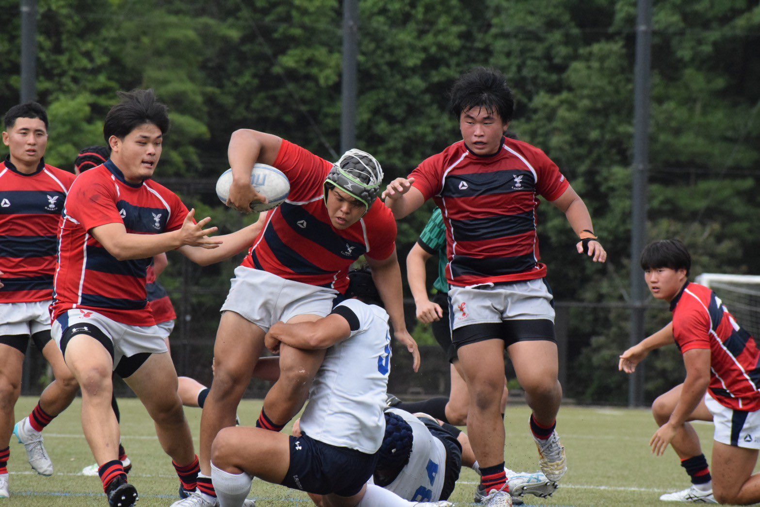 京都産業大学ラグビー 練習用ジャージ 公式ソックス