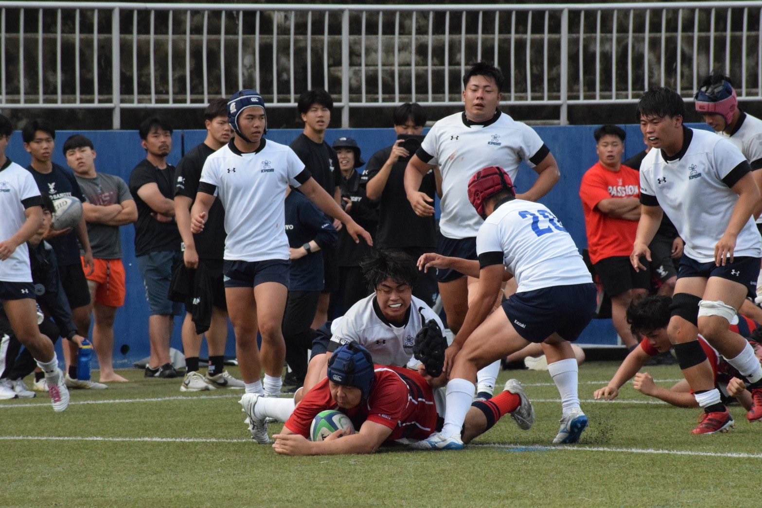 京都産業大学ラグビー部CARISBROOKジャージ 京都産業大学ラグビー部CARISBROOKジャージ公式 ストア