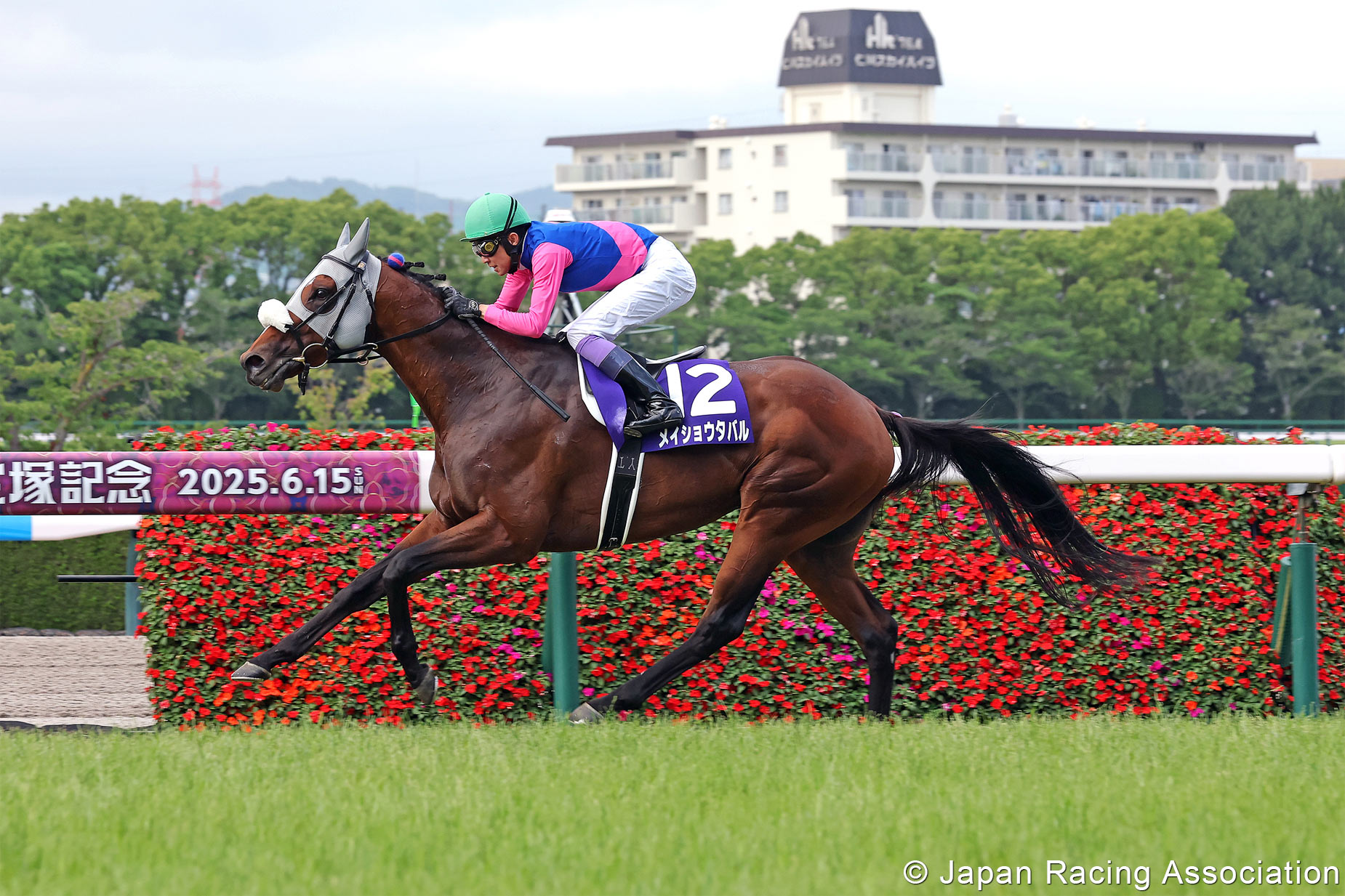 HorseRacingInJapan on X: 