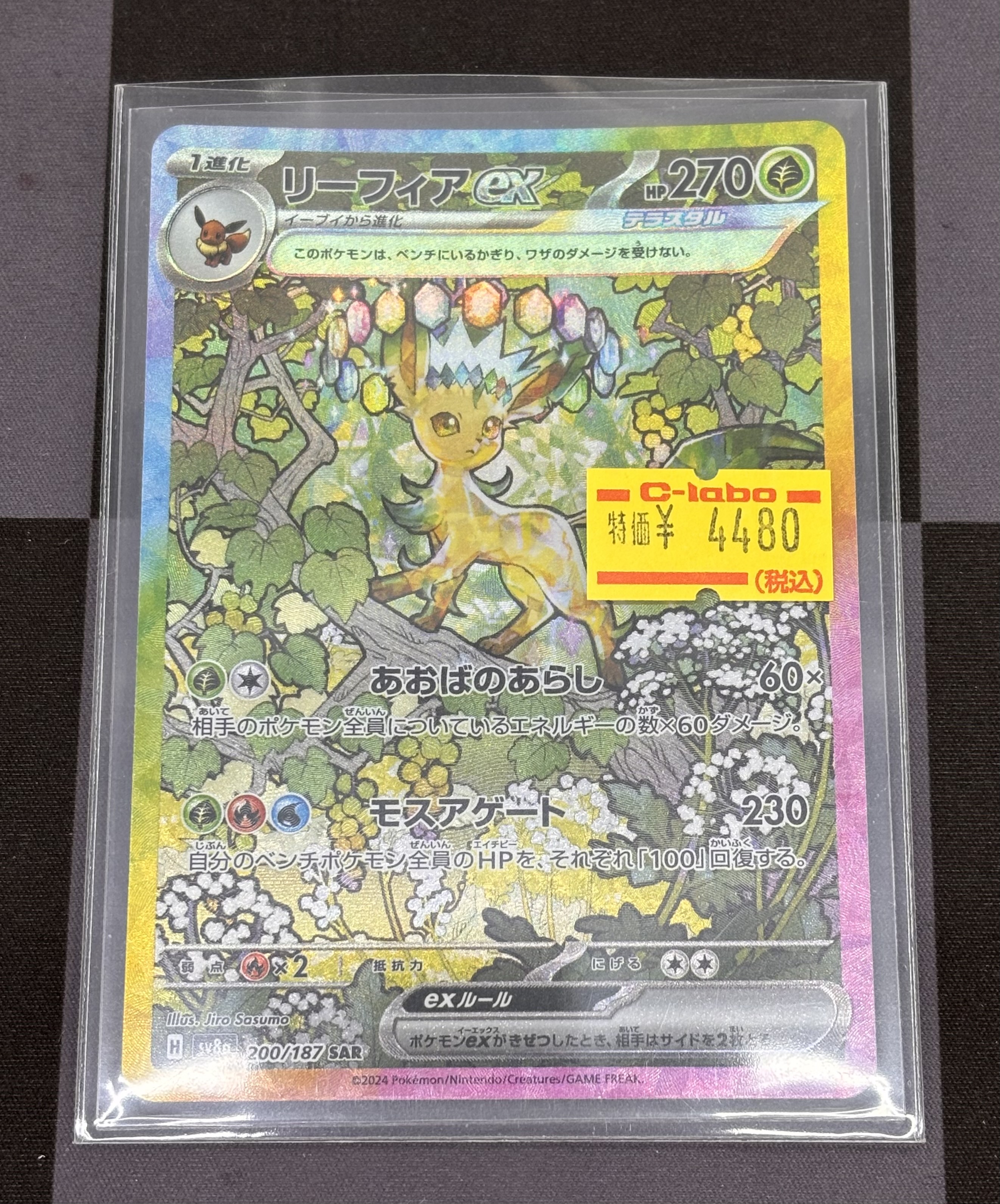 リーフィア 商品一覧（ポケモンカード） – トレカ（TCG）通販