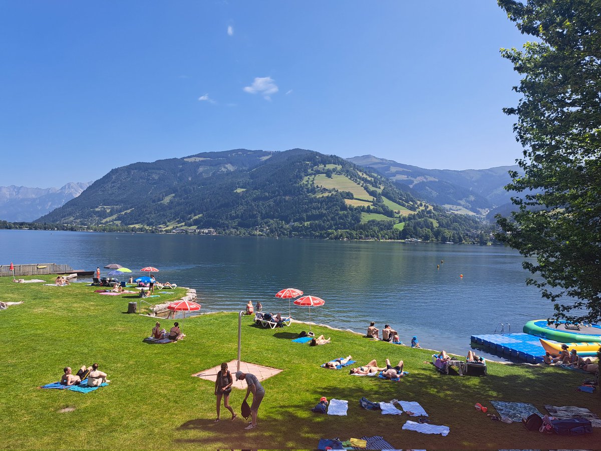 Cynthia Abel tweet media