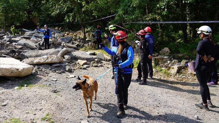 "Dünya arama kurtarma köpekleri şampiyonası İstanbul'da yapıldı" gazetebalkan.ro/2025/06/16/dun…