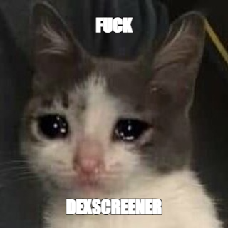 ITSSADCAT's tweet photo. https://t.co/84lxA1S318