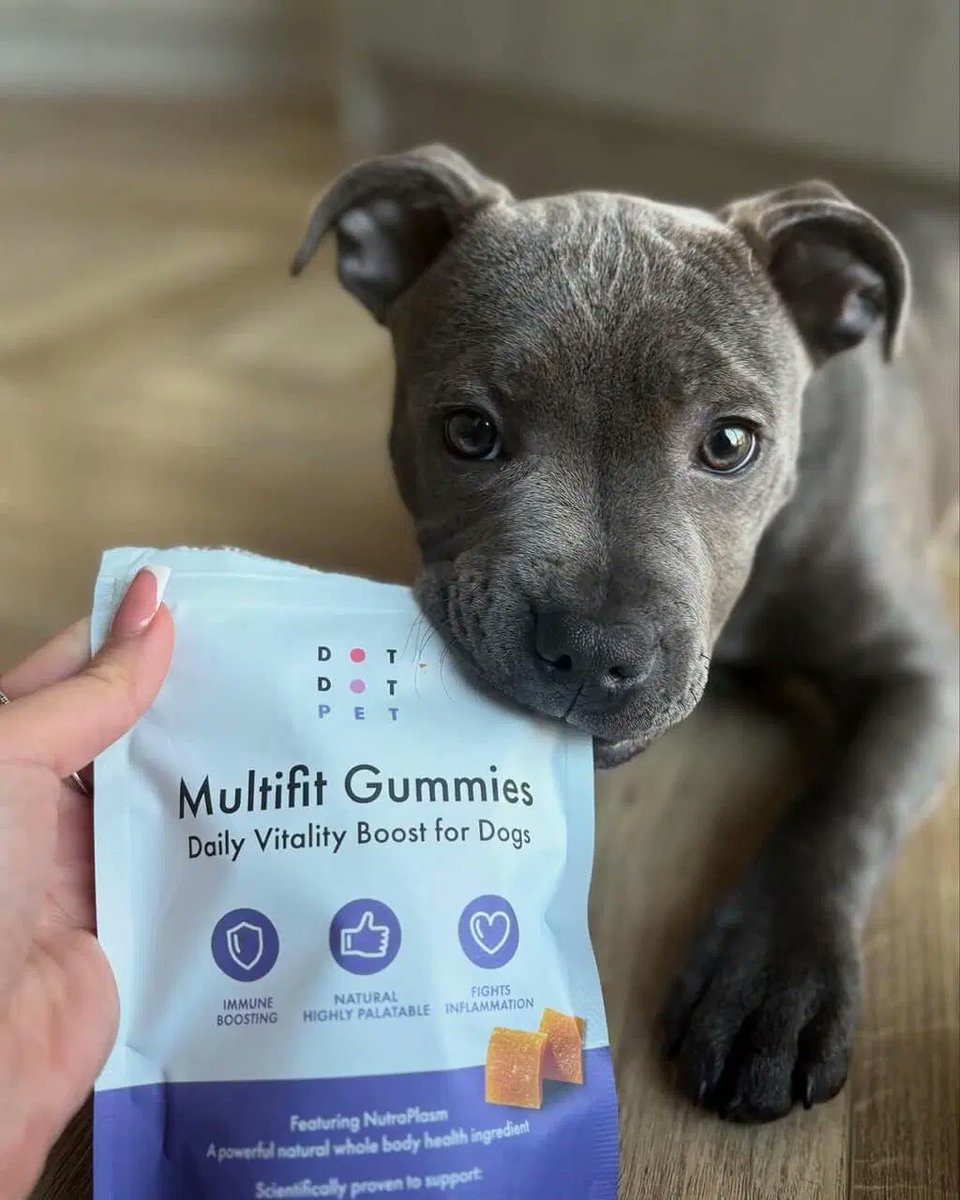 Boost your dog's health with @DotDotPet's Multifit Gummies!🐾 

Packed with NutraPlasm (a vet-approved blend of plasma and collagen) these tasty treats are packed with essential vitamins and minerals to keep your pup in tip top shape 💊

dotty4paws.co.uk/product/multif…

#EarlyBiz