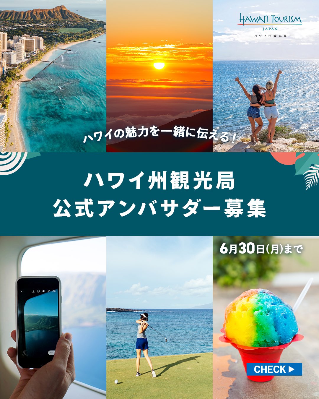 やっぱりハワイページ やっぱりハワイ！ | ウェルカムキャンペーン