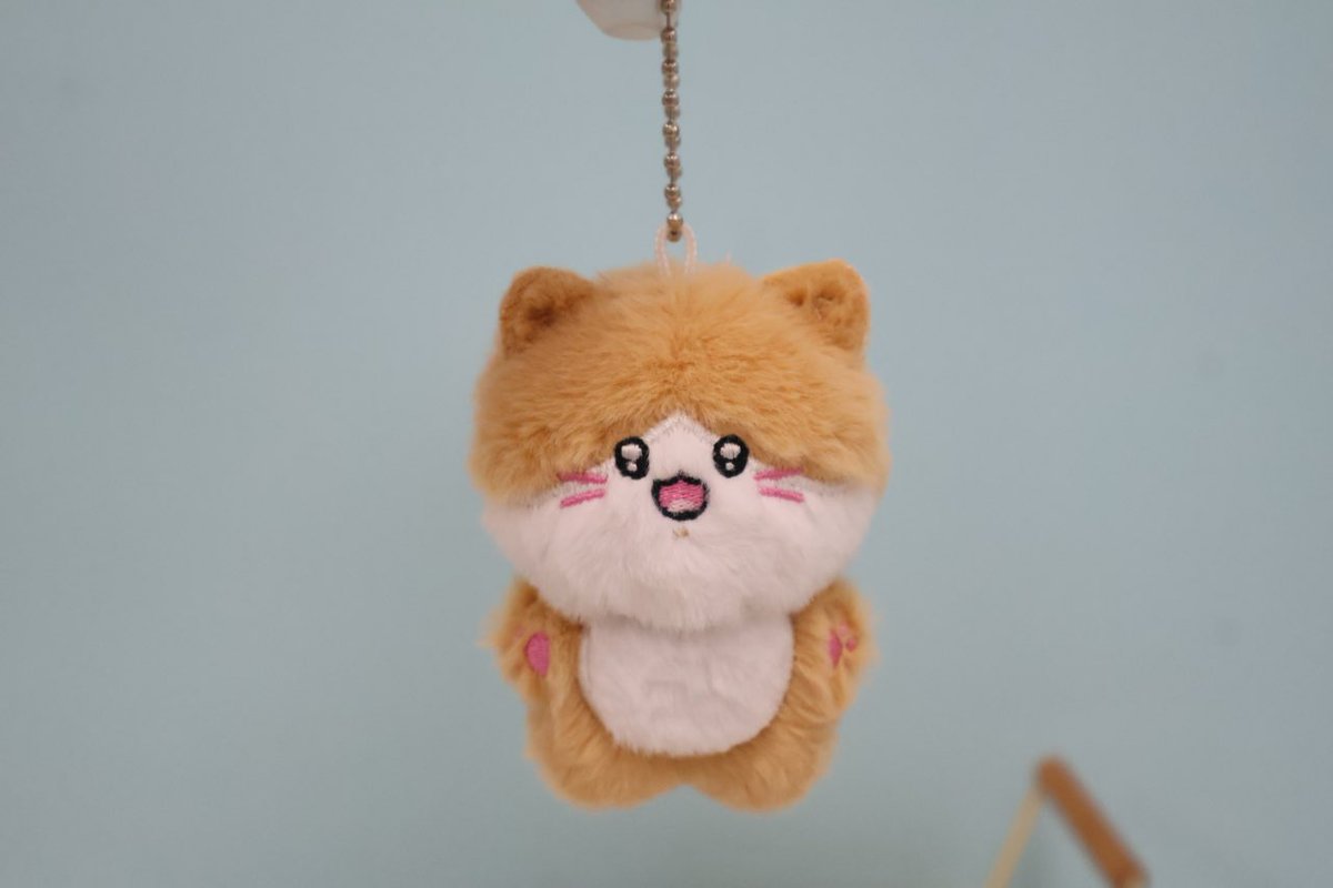 ✨🐱✨🐱✨

고양이를 좋아해🐱 통통한 고양이를 좋아해🐱

너무 귀여운 아기야! 

그의 몸을 붙잡는 것은 너무 착하다

고양이 수염은 핑크색이야~

불가사리 동물 인형

#우리_공장을_소개합니다
#우리_공장으로_오세요
#솜인형 #cottomdoll #自作ぬい #綿人形 #ぬいぐるみ