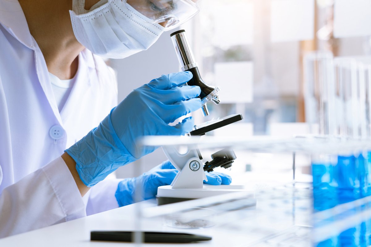 ✅Invertimos más de 123M€ en la contratación de 900 investigadores/as para que realicen su doctorado en universidades públicas.

🗣️<a href="/DianaMorantR/">Diana Morant</a>: “Abreviamos 4 meses los plazos de resolución, agilizando la incorporación de los beneficiarios/as”.

ciencia.gob.es/Noticias/2025/…