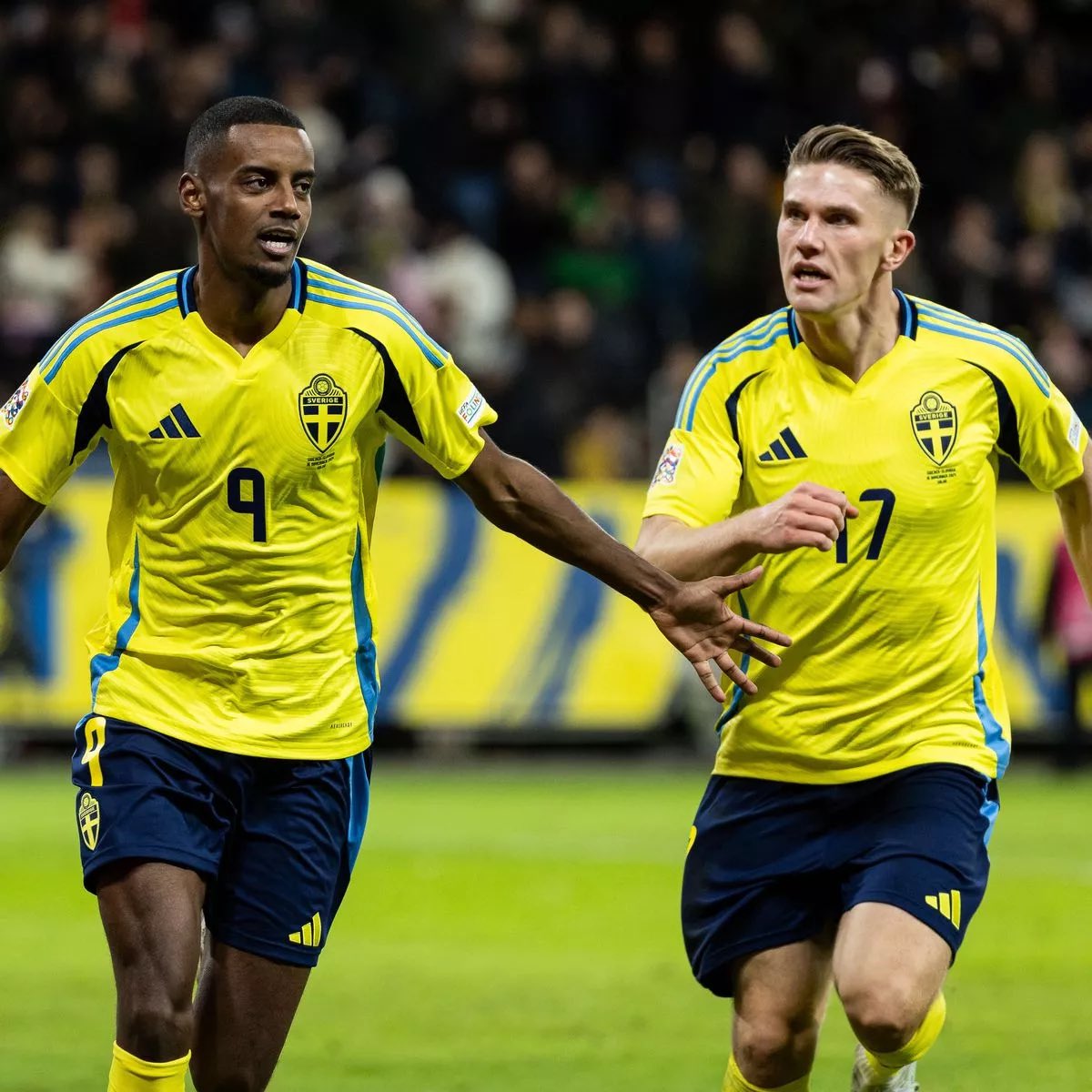 Elias Hammarstedt tweet media