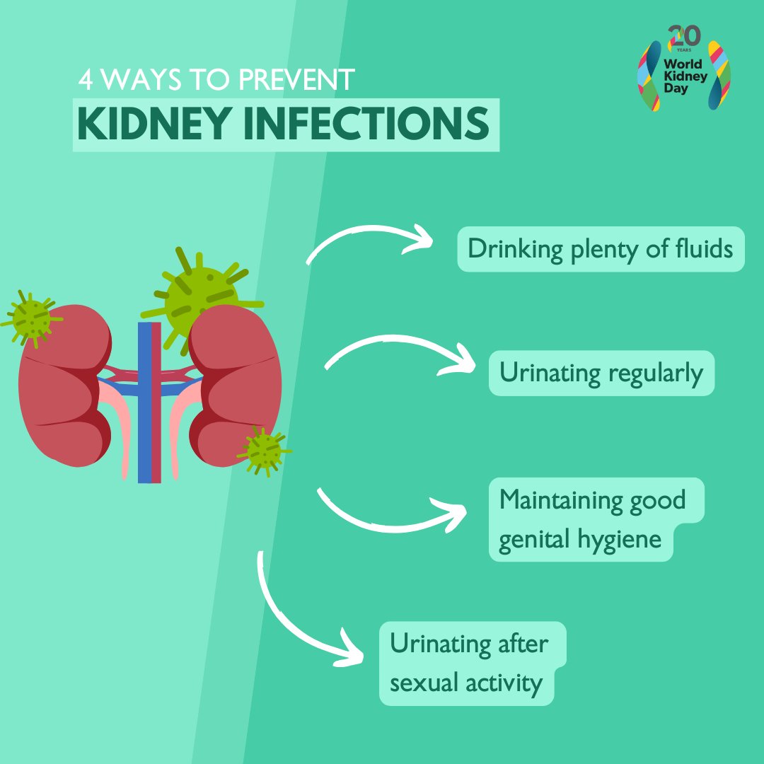 Looking to prevent kidney infections? Start with these four simple steps to keep your urinary tract healthy and free from harmful bacteria.

#WorldKidneyDay #AreYourKidneysOK  #KidneyHealthMatters