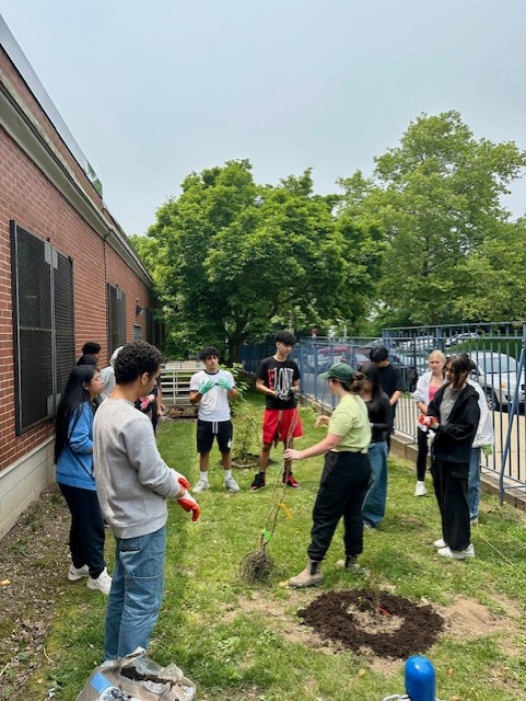 TreesNewYork's tweet image. We partnered with Ft. Hamilton High and planted 4 #fruittrees on their school grounds. Over 40 students participated in our program and learned about the importance of #trees, our #urbanforest, and how to care for trees. Great group committed to improving their #urbanenvironment!
