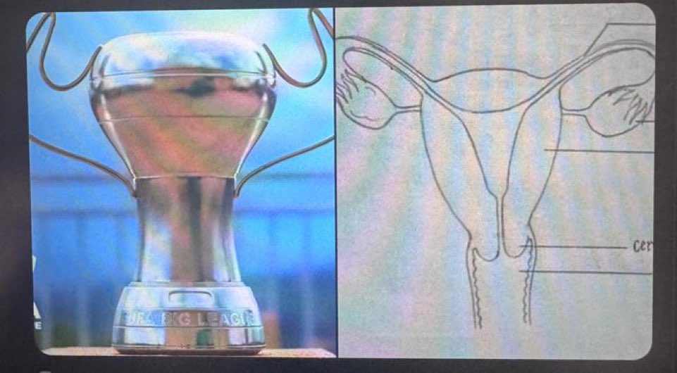 The person who did this was inspired 🤗🤗