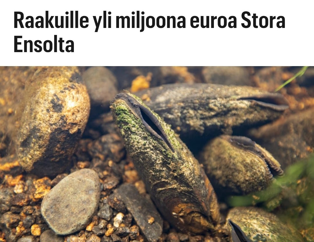 38 raakkua aikoo perustaa saamillaan rahoilla firman, 87 aikoo ostaa kesämökin, 65 aikoo irtisanoutua nykyisestä työstään ja jäädä oloneuvoksiksi, loput raakut kieltäytyivät kertomasta julkisuuteen, mitä aikovat tehdä rahoillaan.