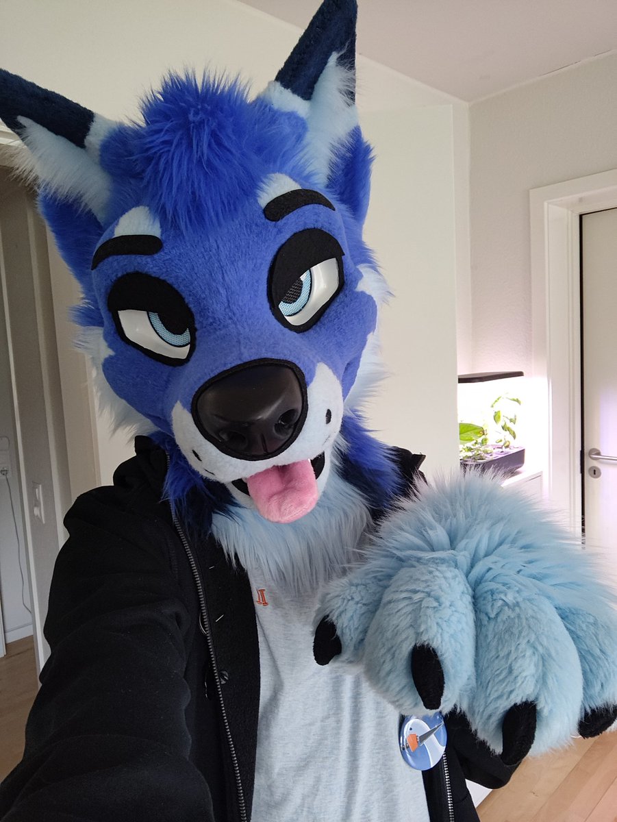 Bluesugar (@bluesugardk) on Twitter photo My boy is back again after a good and needed refurbishment from <a href="/AlphaDogsStudio/">Alpha Dogs</a>! His hair is poofed up again, he got new eyes and tongue, and the inside is now fully lined in a comfortable fabric, making him so much more comfortable to wear!
He's now ready for new shenanigans π My boy is back again after a good and needed refurbishment from <a href="/AlphaDogsStudio/">Alpha Dogs</a>! His hair is poofed up again, he got new eyes and tongue, and the inside is now fully lined in a comfortable fabric, making him so much more comfortable to wear!
He's now ready for new shenanigans π