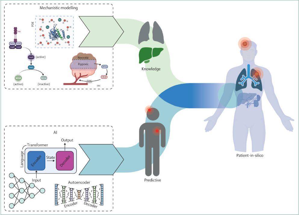 LancetDigitalH's tweet image. NEW Health Policy: Medical digital twins: enabling precision medicine and medical artificial intelligence. @chris_sadee @ogevaert @LivingMatterLab @pinkyprof @geochurch @Stef_Tst @katehartmann @Thom_Barba
Read it here: thelancet.com/journals/landi…