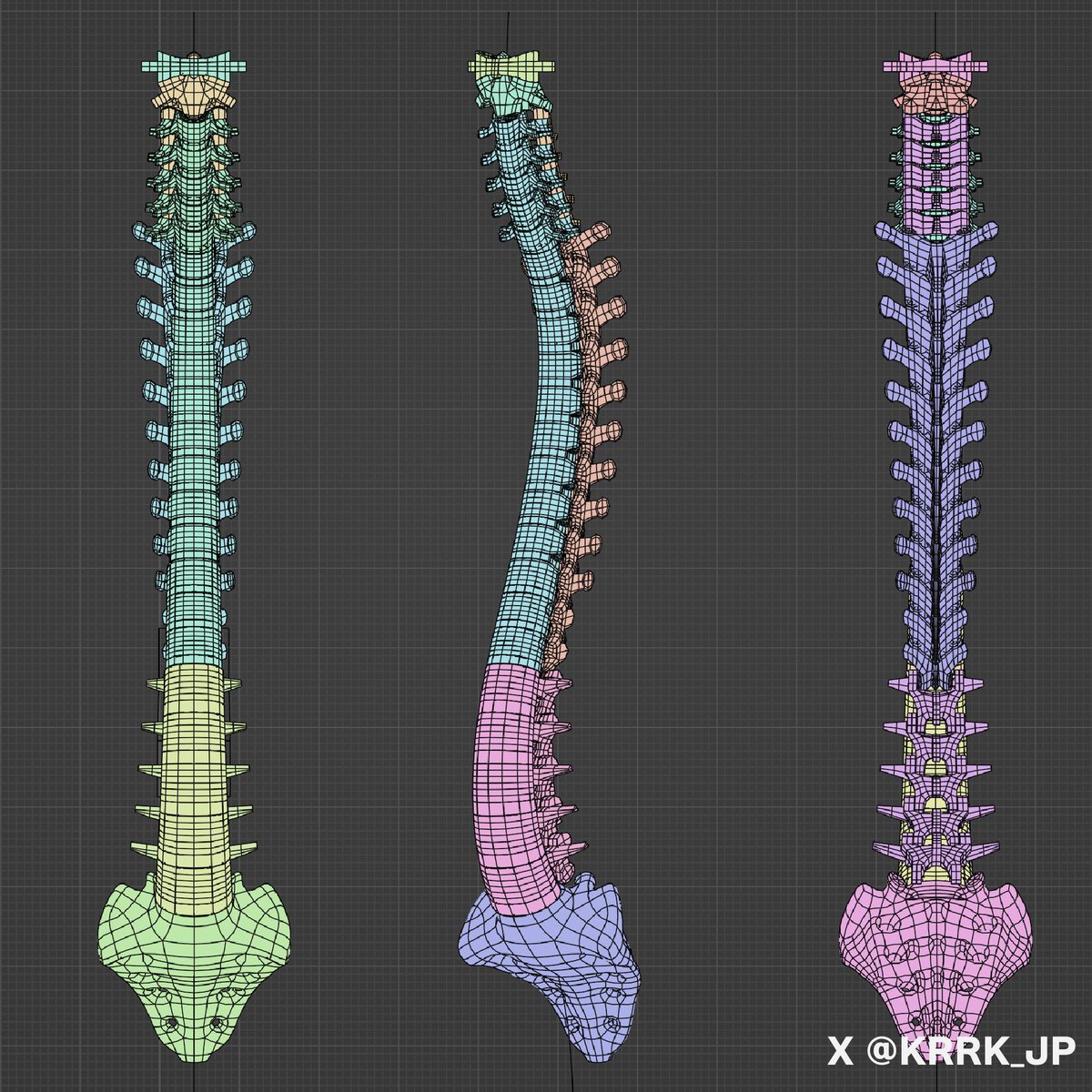 KRRK_JP's tweet image. 0から作る人体骨格（21/30） 
        
「背骨もうちょいで完成」      
 #美術解剖学 #anatomy #blender
